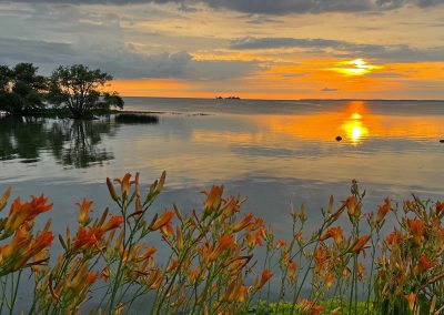 Looking out over Lake Ontario in the summer with the sun close to the horizon and flowers in the foreground, 2023 Photo Contest winner in the Four Seasons Category by Mary Ann Smith