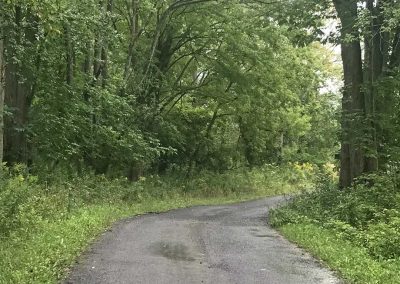 Portrait photo of a gravel path curving through a green, forested area; 2024 Photo Contest winner in the Road Less Traveled category, by Ruth Werner