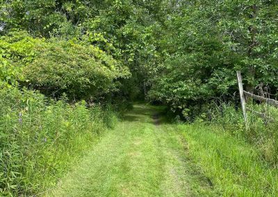 Portrait photo of a mowed path through a wooded area in the summertime, 2024 Photo Contest winner in the Under 18 Nature category, by Katelyn Stephens