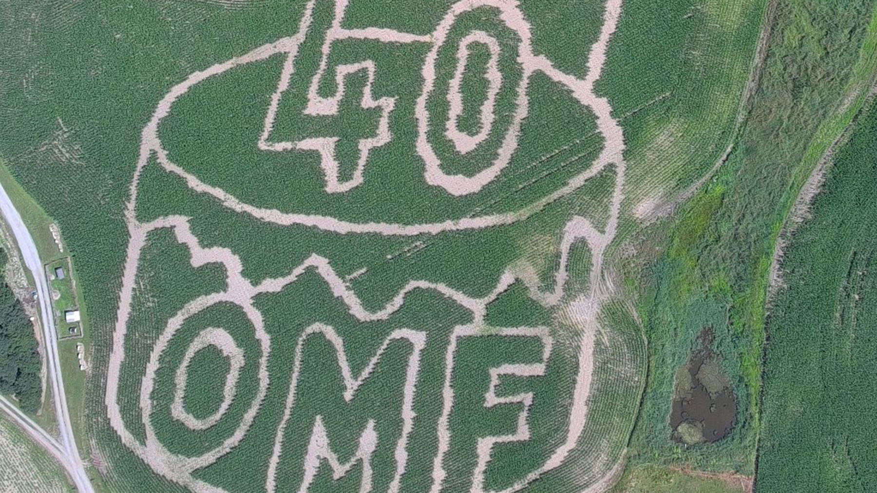 Color photo of a small portion of the corn maze at Old McDonald's Farm in Sackets Harbor in 2026