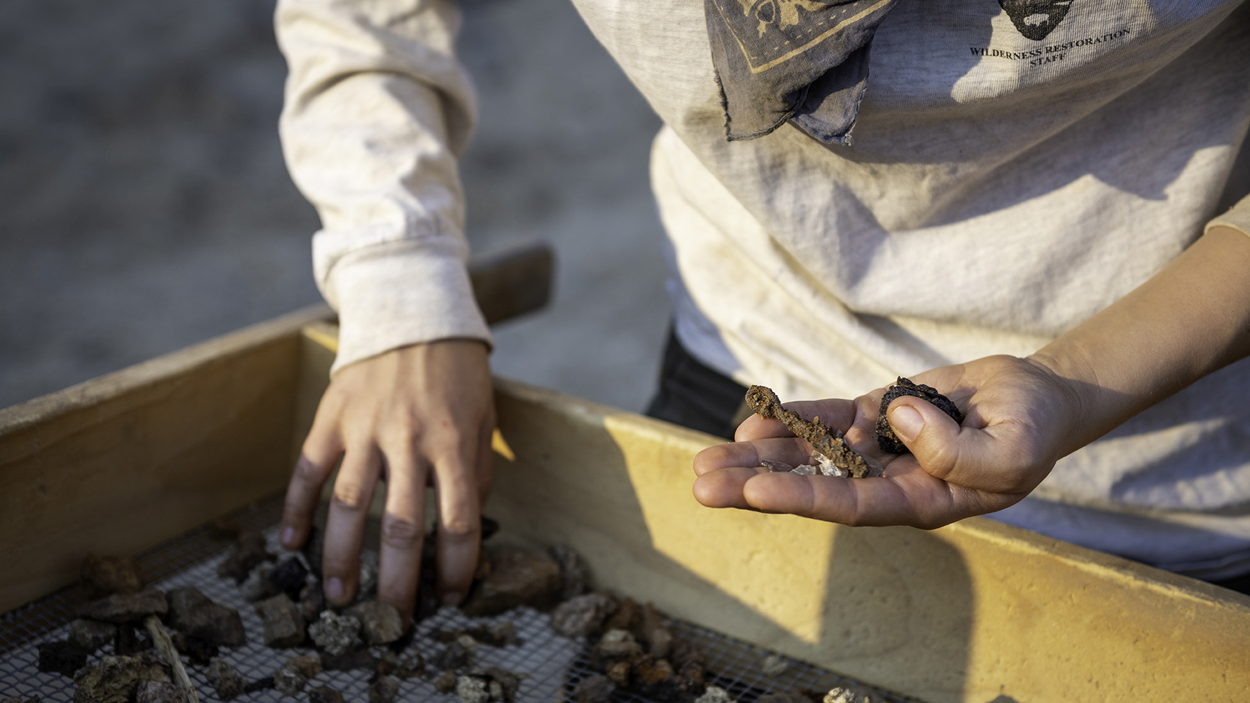 Stock photo of an archeologist handling artifacts (Image by RawPixel.com)