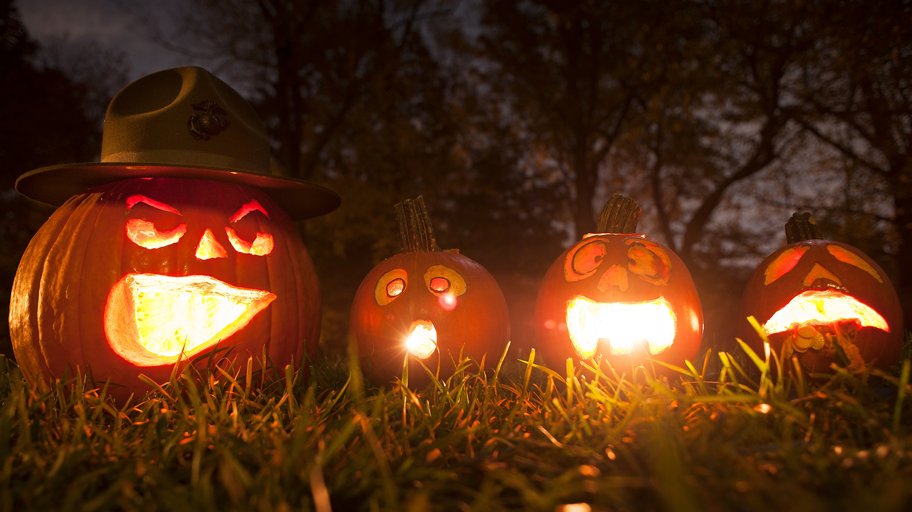 Photo of four pumpkins carved into jack-o-lanterns (Public domain image courtesy of RawPixel.com)