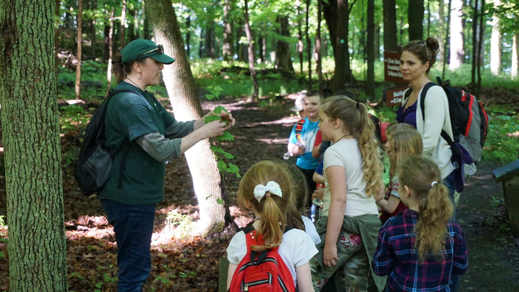 NYS Parks staff member teaching a group of children about the foliage they're seeing along a park trail