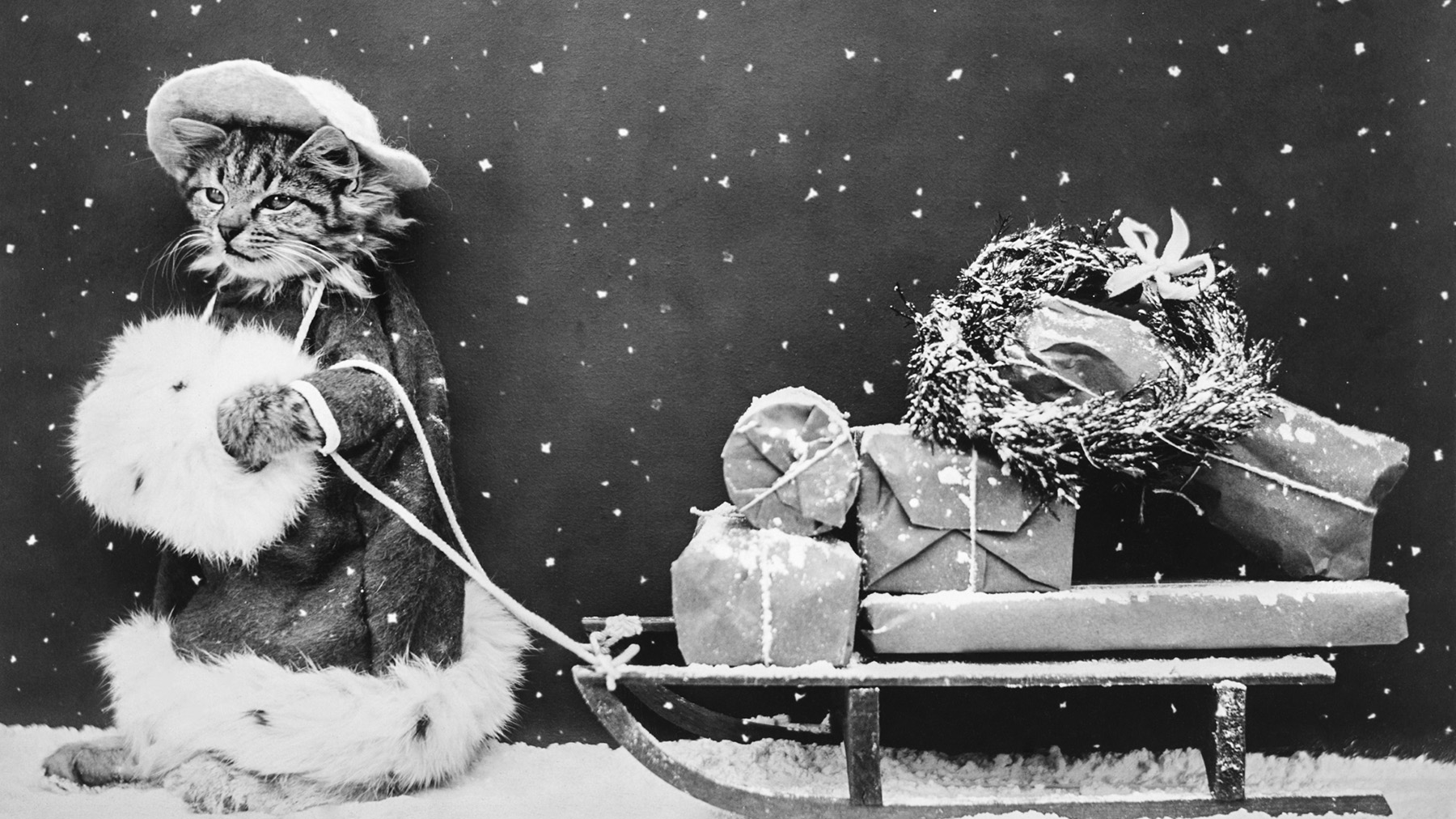 Still image entitled Santa Cat (1914), of a cat pulling a sled in the snow with Christmas gifts, from The New York Public Library (Courtesy of RawPixel.com)